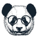 ������ ������������ CrazyPandaDev