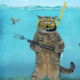   UnderwaterCat