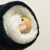 justfinch