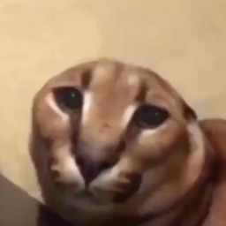 delinquenthabits