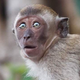 ������ ������������ DenMad