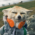 whatsayfox