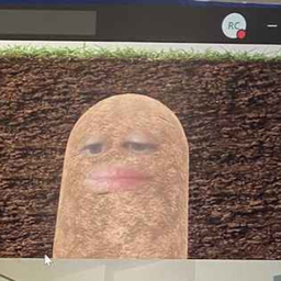 papaykaa