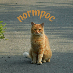 normpoc