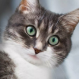 MotherCat