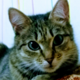 KatarinaF