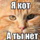 ������ ������������ Zatol