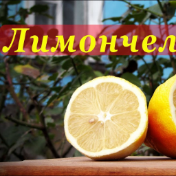 Timonchello