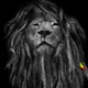 ������ ������������ 44Leo