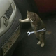 ������ ������������ serviceman.77