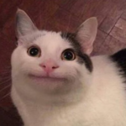 PisyaKorovy