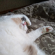 ������ ������������ Svetlayasunny