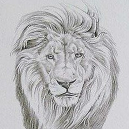 TwilightLionKing