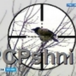 PCPshnik