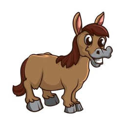 CoolHorse
