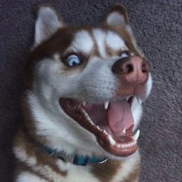 Haska.huyaska