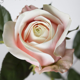 InspiredByFlower