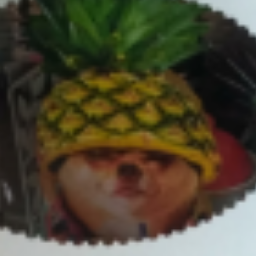 SunBanan