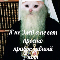 Alkogolikq
