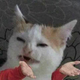 Аватар пользователя FreeDemon