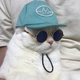 ������ ������������ Kitty13