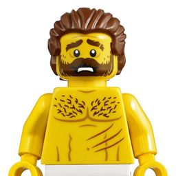 LegoBomzhago