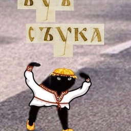 Kuk123