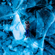 ������ ������������ lonkinbv