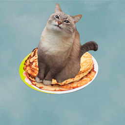 djcjcj