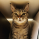 ������ ������������ vundurlenda
