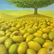 ������ ������������ lemonangel