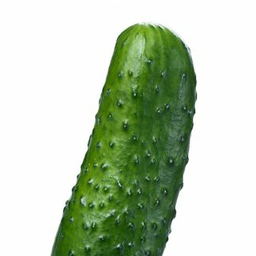 popa.ogyrca