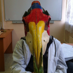 CoistBodhar