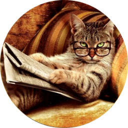 CatFlint