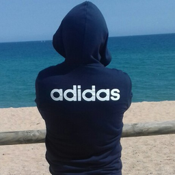 mrSanches2934
