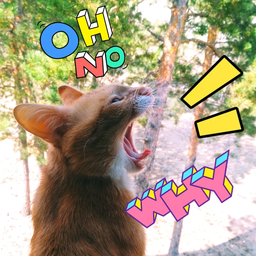 kezoneko