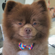 ������ ������������ samoanaliz46