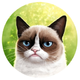 ������ ������������ SadCat88