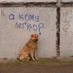 altnikair