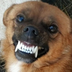 SelverSmile