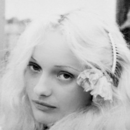 Джинджер гилмор. Джинджер гилмор фото. Джинджер гилмор. Вирджиния «джинджер» хасенбейн. Дэвид гилмор и джинджер.