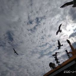 nmk2000n