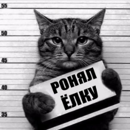 Xuryr.G