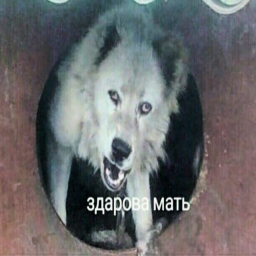 Klogad