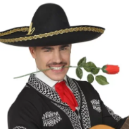 elsuso