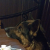 Mememishka