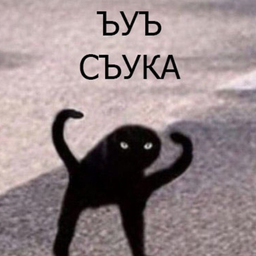 Dominusdedit
