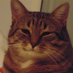 HeLSa