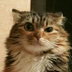 28967 мегафон что это