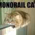 Monorailcat
